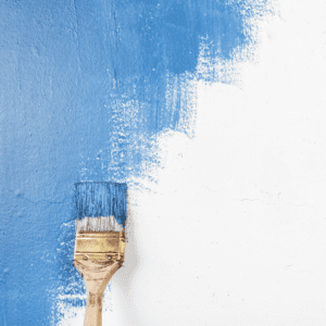 brush for painting