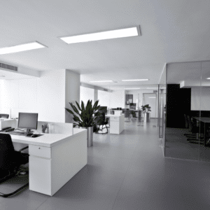 The Impact of Color on Business Environments